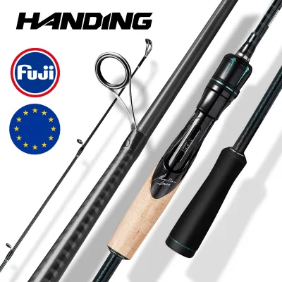 Canne spinning carbone 2 sections